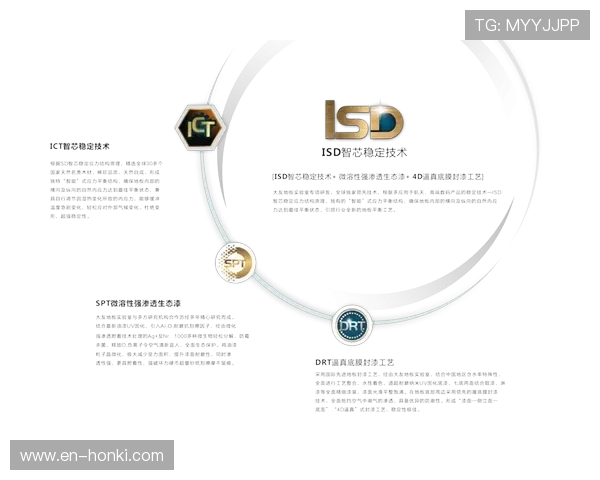letou乐投线路测试安全性检测与风险控制措施分析