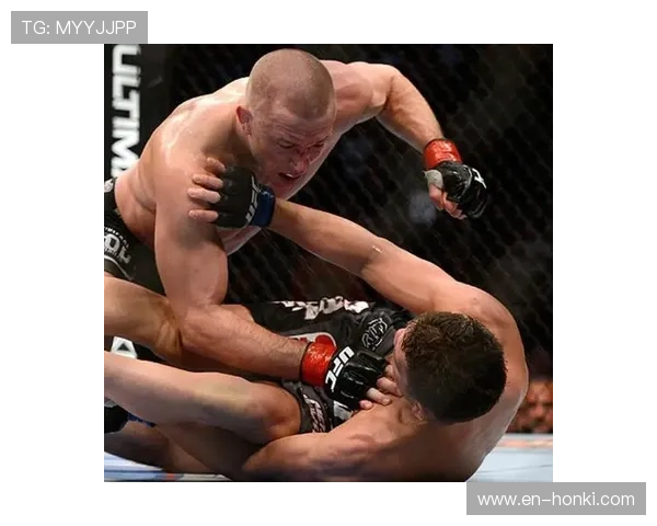 lt体育：全面解析体育赛事背后的故事与运动员的精彩表现