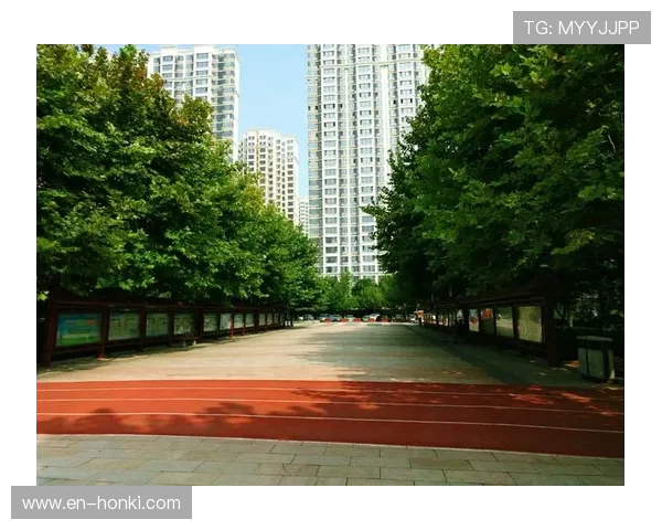 乐天体育leb：乐天体育leb的安装步骤与常见问题解决方案详解